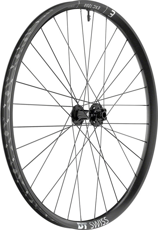 DT Swiss EXC 1200 Classic Front Wheel - 29", 15 x 110mm, 6-Bolt, Black