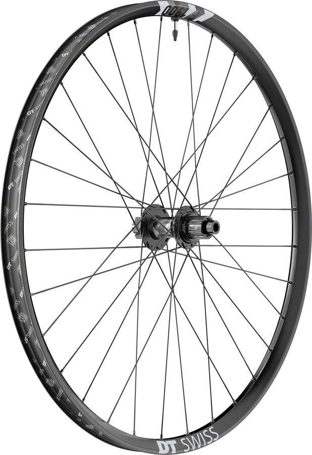 DT Swiss F 1900 Classic Rear Wheel - 29", 12 x 148mm, 6-Bolt, Micro Spline, Ratchet LN 18, Black