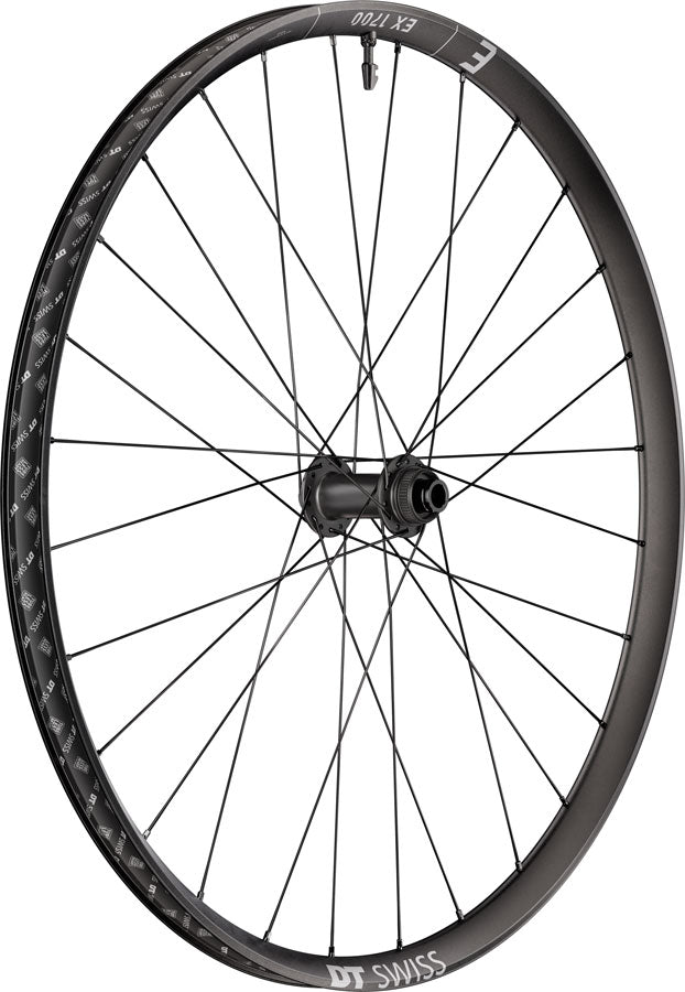 DT Swiss EX 1700 Classic 30 Front Wheel - 29", 15 x 110mm, Center-Lock, Black