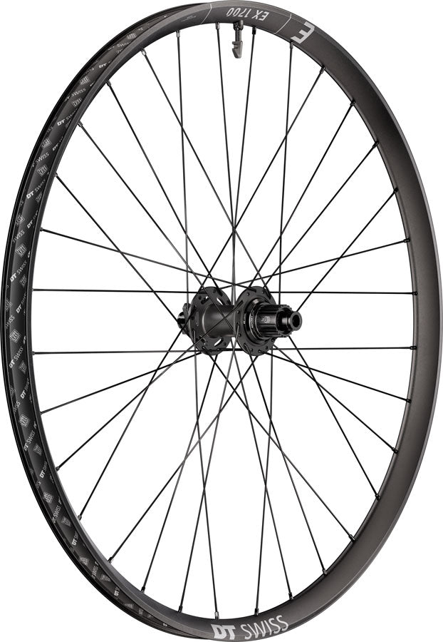 DT Swiss EX 1700 Classic 30 Rear Wheel - 29", 12 x 148mm, 6-Bolt, Micro Spline, DEG 72 DF, Black