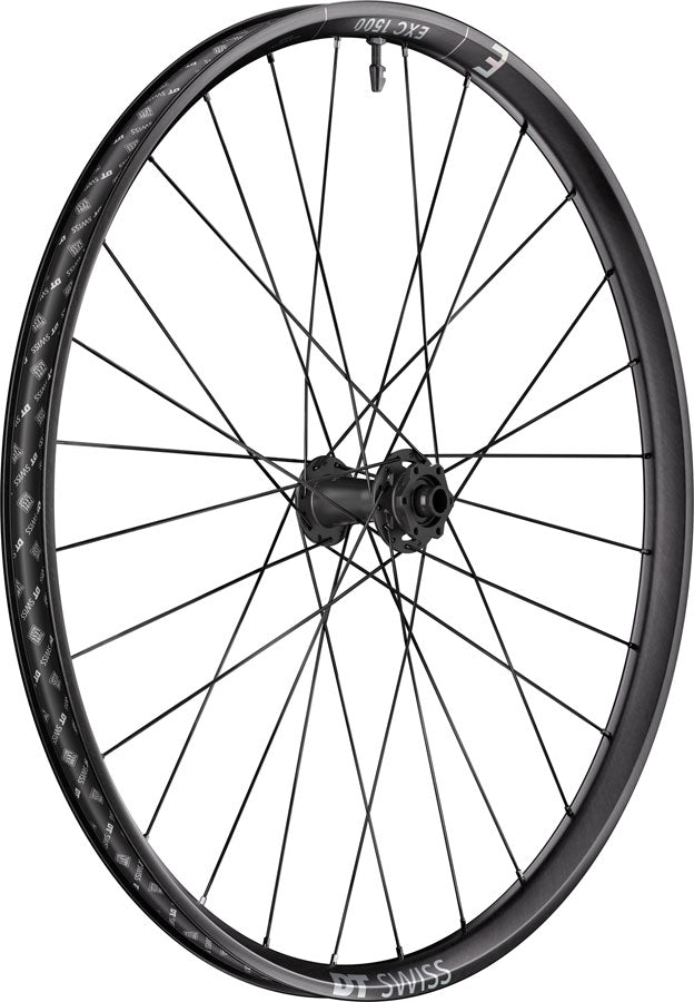 DT Swiss EXC 1500 Classic 30 Front Wheel - 29", 15 x 110mm, 6-Bolt, Black