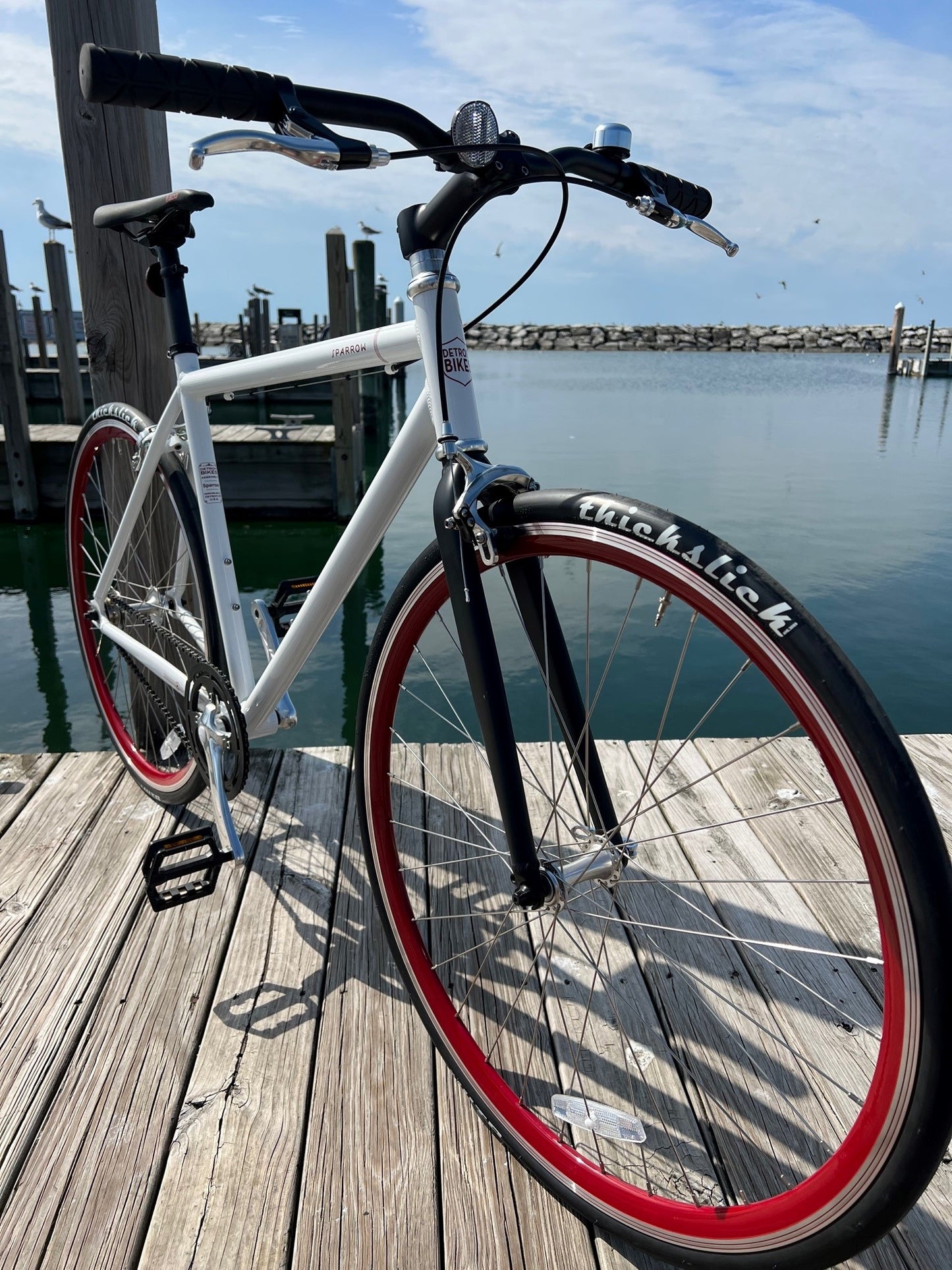 Detroit Bikes SPARROW Singlespeed Commuter Aluminum Track Frame