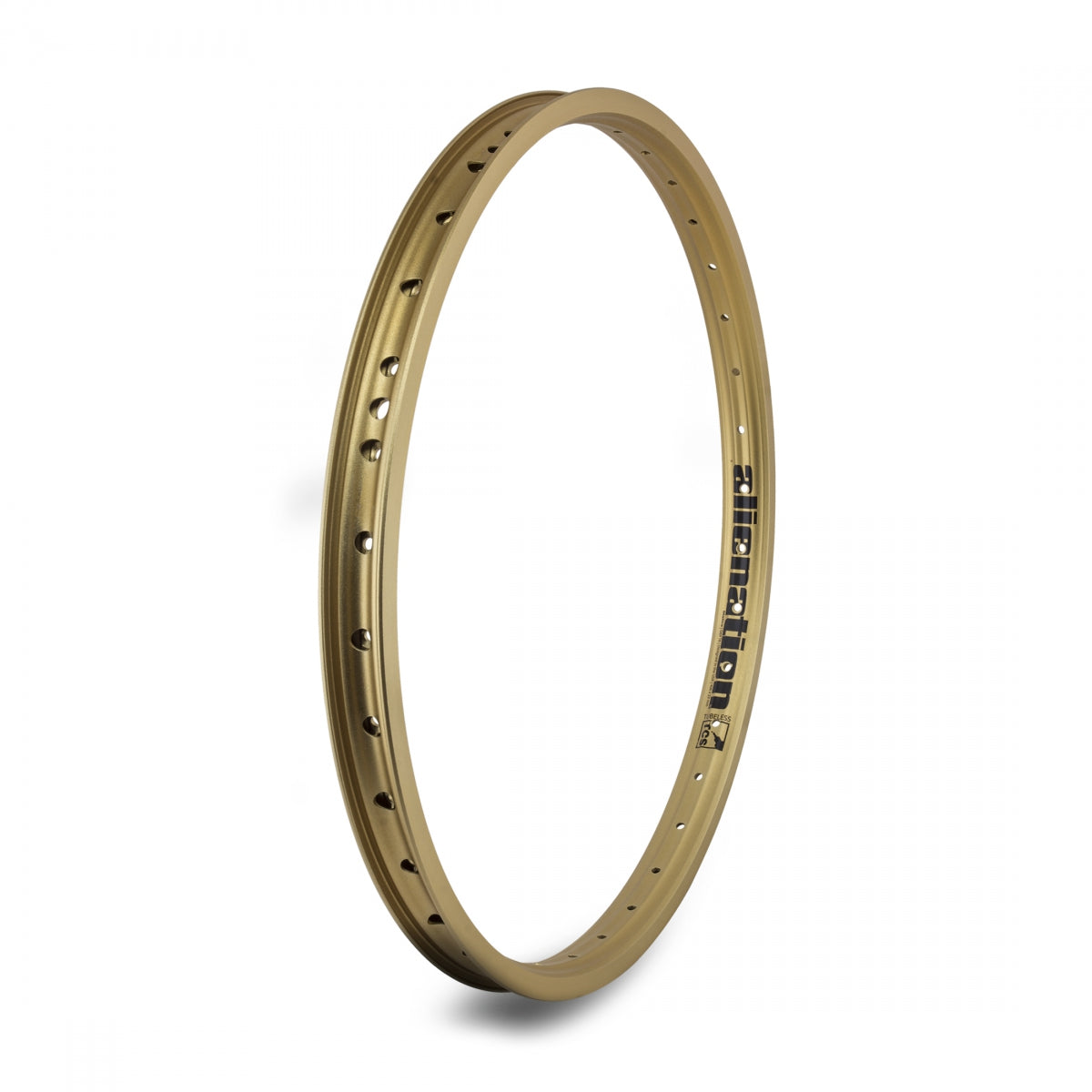 Alienation Malice G69 Tcs M 20 in Bicycle Rim 36H Rim Brake