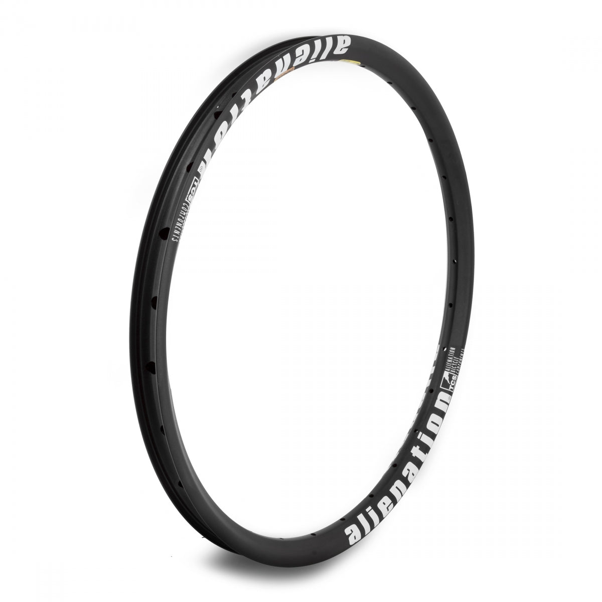 Alienation Mischief G69 Tcs Matte 20 in Bicycle Rim Black Disc Brake