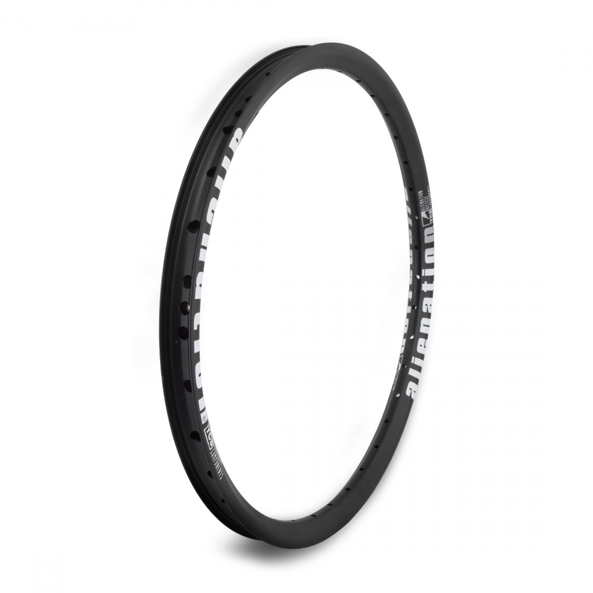 Alienation Mischief G69 Tcs Matte 20 in Bicycle Rim Black 36H Disc Brake