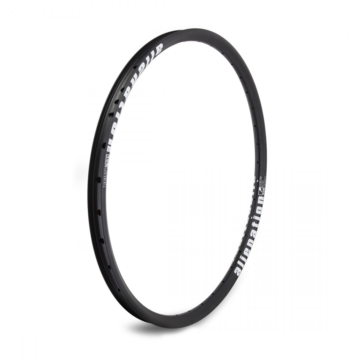 Alienation Mischief G69 Tcs Matte 24 in Bicycle Rim Black 36H Disc Brake