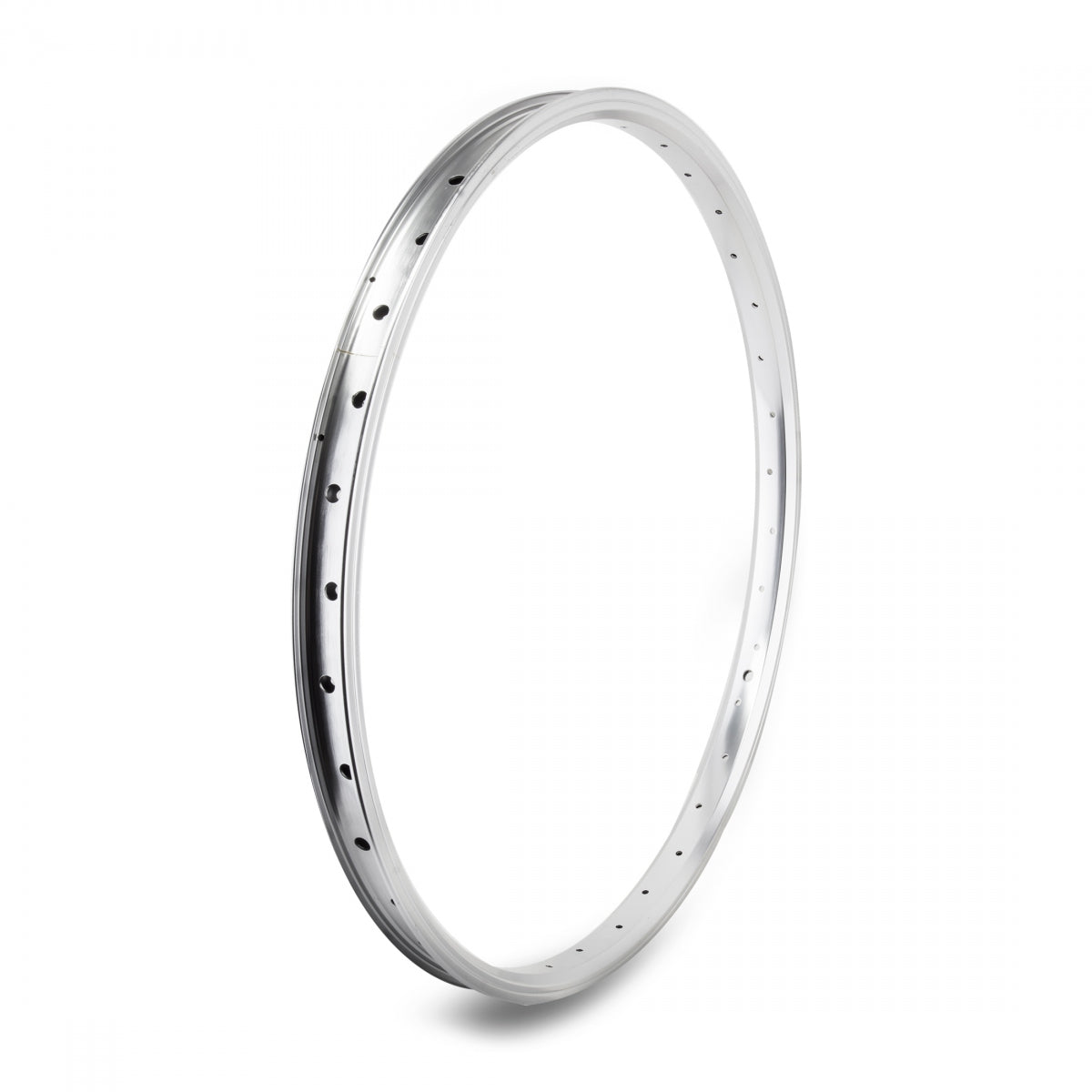 SE Bikes Se Bikes J24Sg 24 in Bicycle Rim Silver 36H Disc Brake