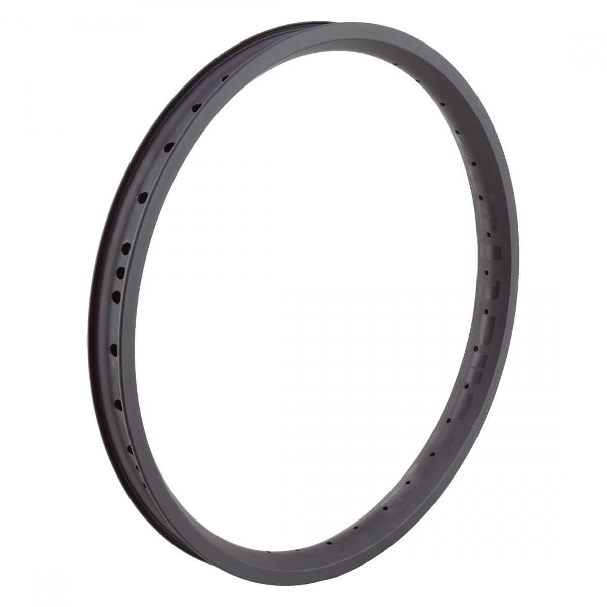 Alienation Vandal G69 Tcs Matte 20 in Bicycle Rim Black 36H Disc Brake