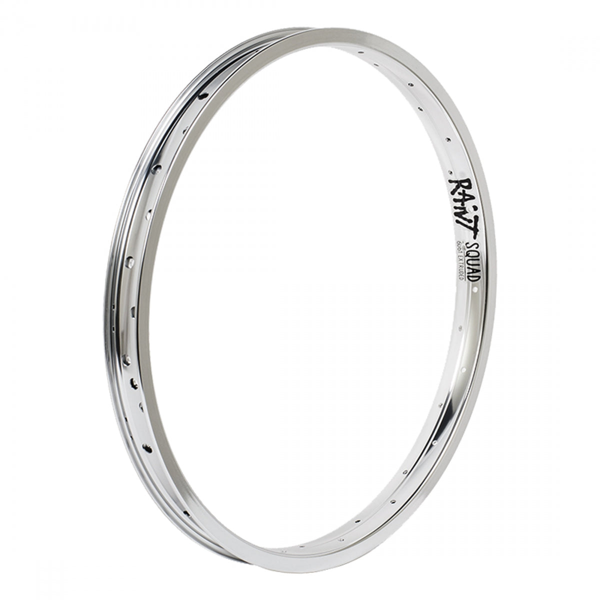Rant Squad 20 in Bicycle Rim Silver 36H Disc Brake