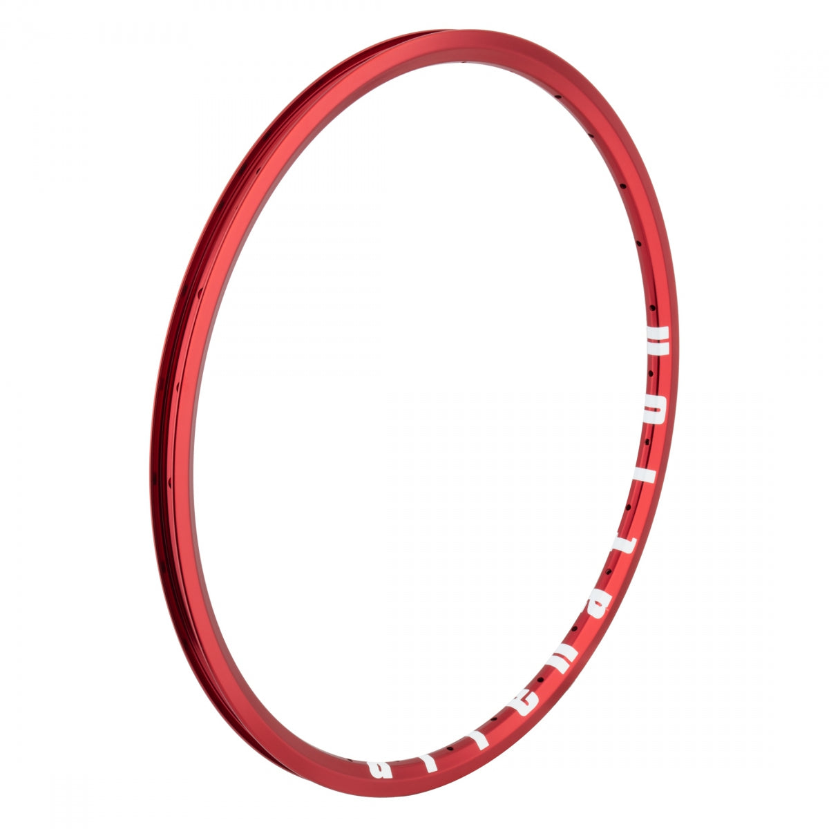 Alienation Ankle Biter 20 in Bicycle Rim Rim Brake