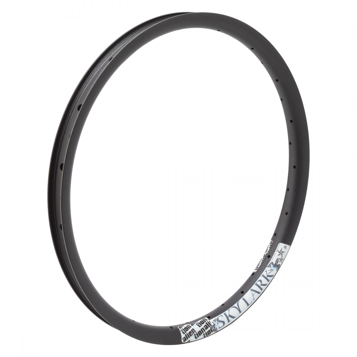 Alienation Skylark 6069 Matte 20 in Bicycle Rim Black 36H Disc Brake