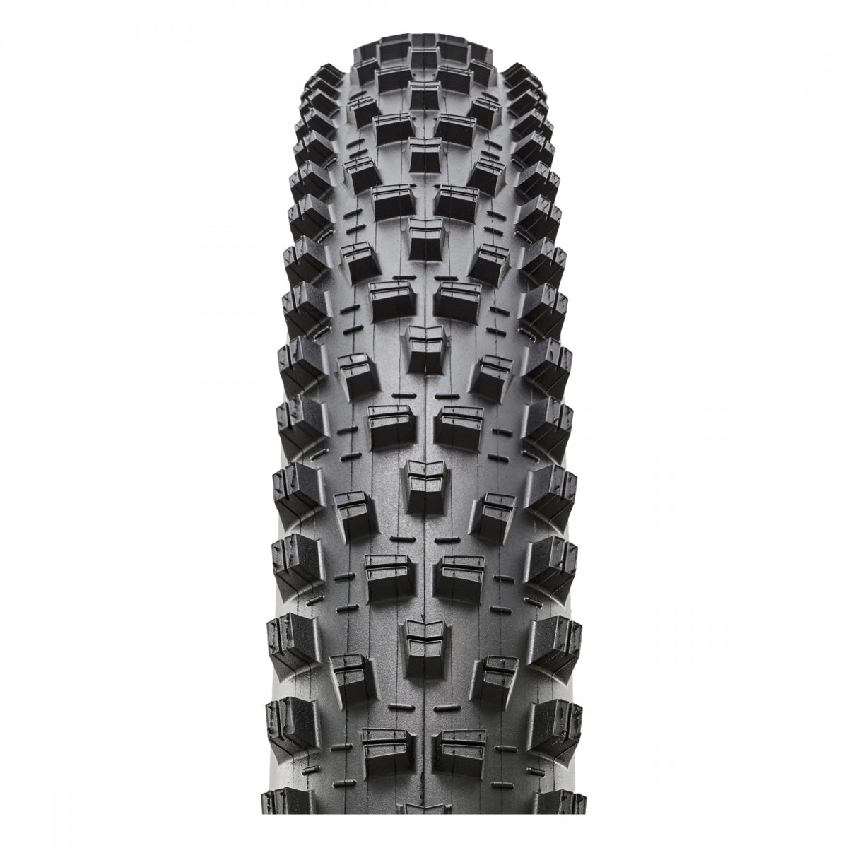 Tire Max Forekaster 29X2.4 Black Fold/60 3Ct/Exo+/Tr/E50/Wt