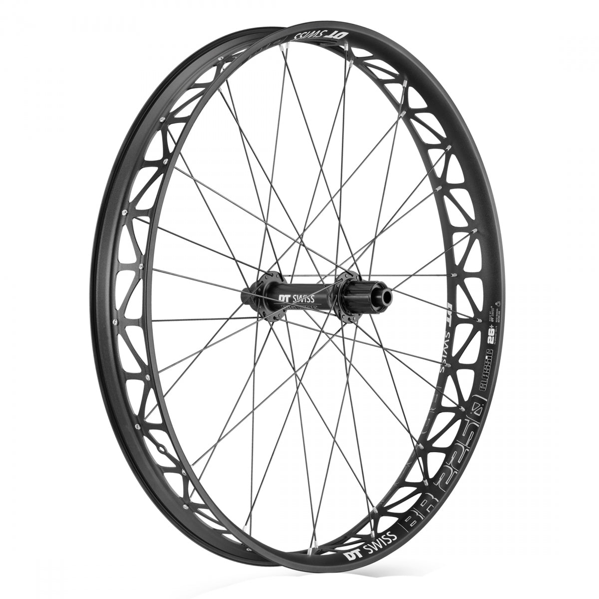 DT Swiss 26" x 4.0" BR2250 Big Ride Fat Bike Front Wheel, 559x76, Center-Lock Disc, 197x12mm Thru-Axle, Black