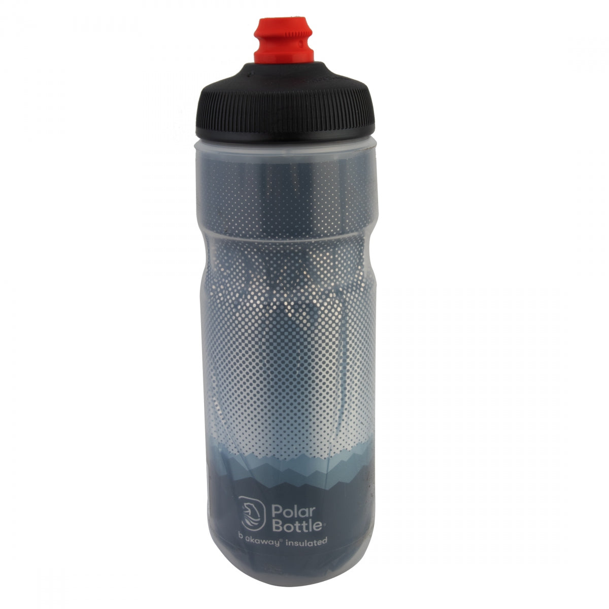 Bottle Polar Breakaway Insulated 20Oz Ridge Charcoal/Sl