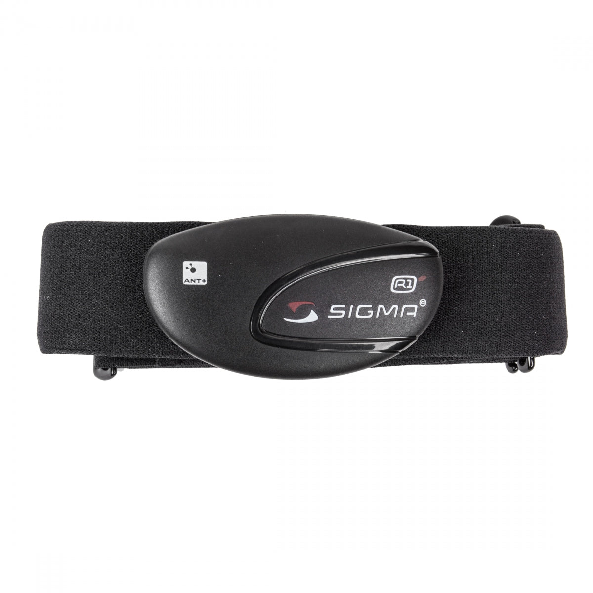 Sigma R1 ANT+ Heart Rate Chest Strap and TranSmallitter