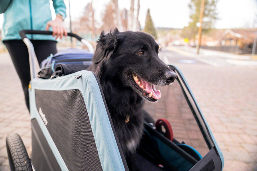 burley dog stroller Burley Bark Ranger Pet Bike Trailer