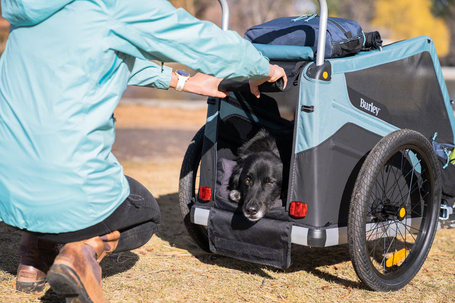 Burley pet bike store trailer