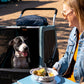 Burley Bark Ranger XL Pet Bike Trailer