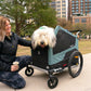 Burley Bark Ranger XL Pet Bike Trailer