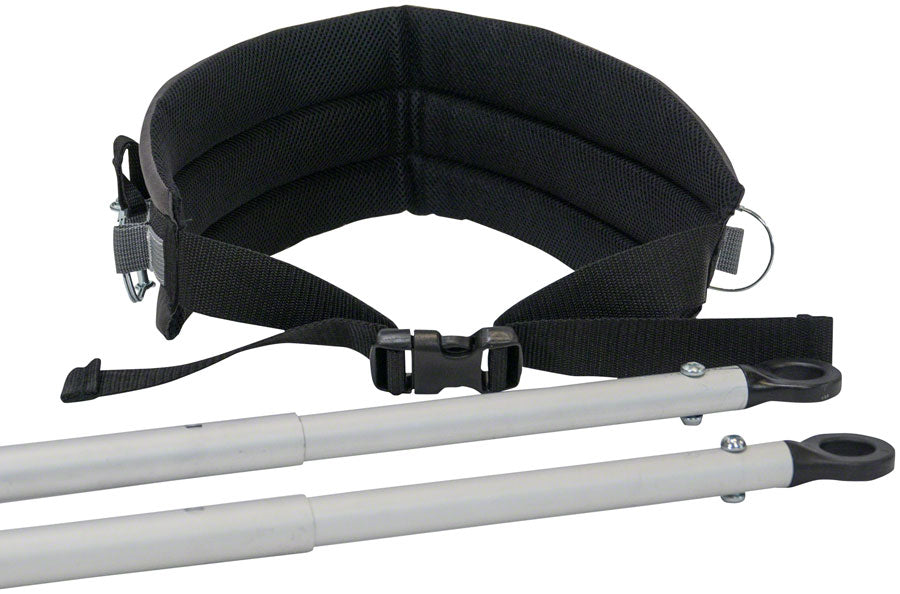 Burley Ski Kit