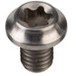 Cane Creek eeWings Titanium Direct Mount Chainring Bolts, Bag of 3