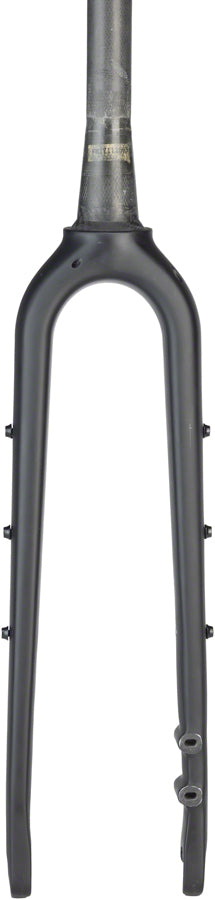 Salsa Waxwing Carbon Deluxe Fork - 700c/650b, 100x12mm Thru-Axle, 1-1/8" Tapered, Carbon, Flat Mount Disc, Black Frameset Color Match