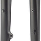 Salsa Cutthroat Carbon Deluxe V2 Fork - 29", 110x15mm Thru-Axle, 1-1/8" Tapered, Carbon, Flat Mount Disc, Matte Black