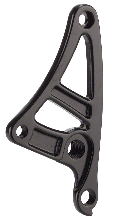 Salsa Alternator 1.0 Plate Right thru-axle M12x1.75 thread pitch with Derailleur Hanger 