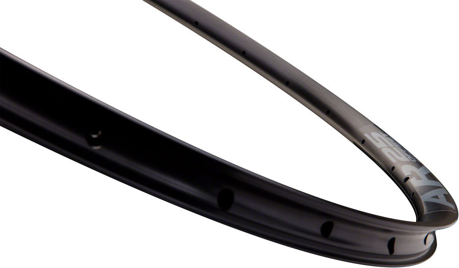 RaceFace RaceFace AR 25 29" 29 in Bicycle Rim Black 32H Disc Brake
