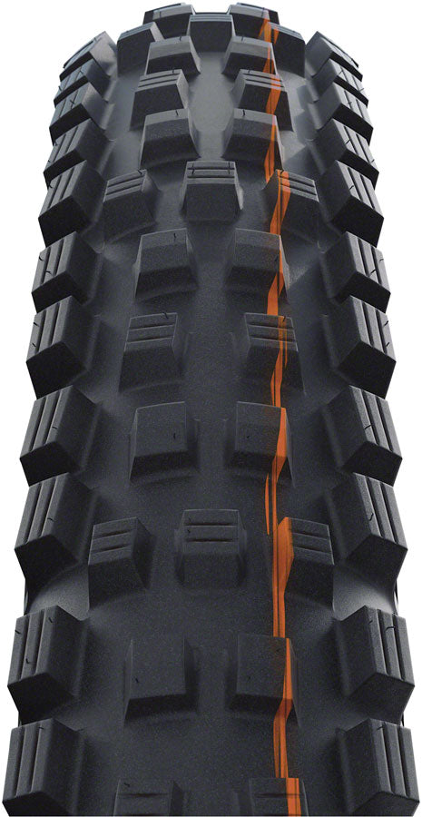 Schwalbe Magic Mary Tire - 29 x 2.4, Tubeless, Folding, Black/Bronze, Evolution Line, Super Gravity, Addix Soft