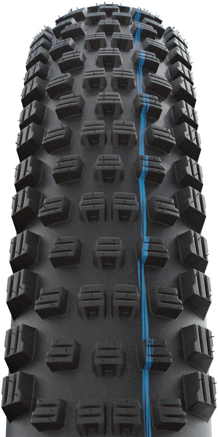 Schwalbe Wicked Will Tire - 29 x 2.4, Tubeless, Folding, Black, Evolution Line, Super Ground, Addix SpeedGrip