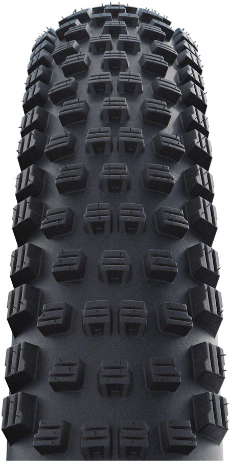 Schwalbe Wicked Will Tire - 29 x 2.6, Clincher, Folding, Black, Performance Line, Addix