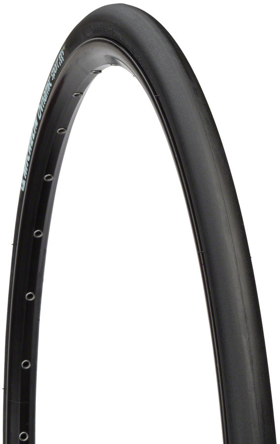 Michelin Dynamic Sport Tire - 700 x 25, Clincher, Wire, Black