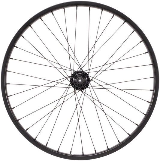 We The People Audio Rear Wheel - 22", 14 x 110mm, 36H, 9T Cassette, Right Side Drive, Nylon Hubguards, Black