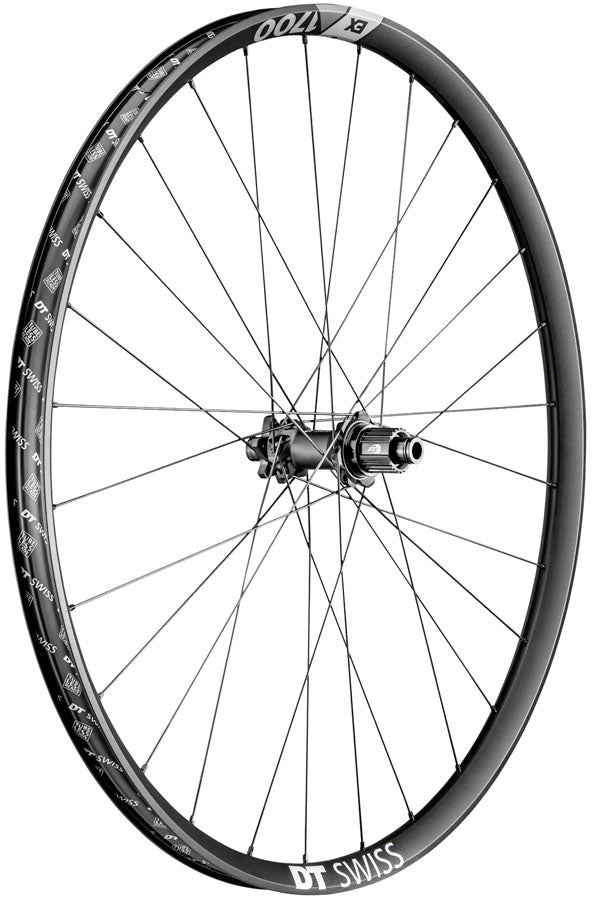 DT Swiss EX 1700 SPLINE Rear Wheel - 29", 12 x 148mm Boost, 6-Bolt, Micro Spline, Black