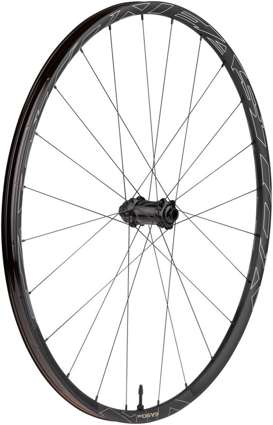 Easton EA90 AX Front Wheel - 700, 12/15 x 100mm, Center-Lock, Black