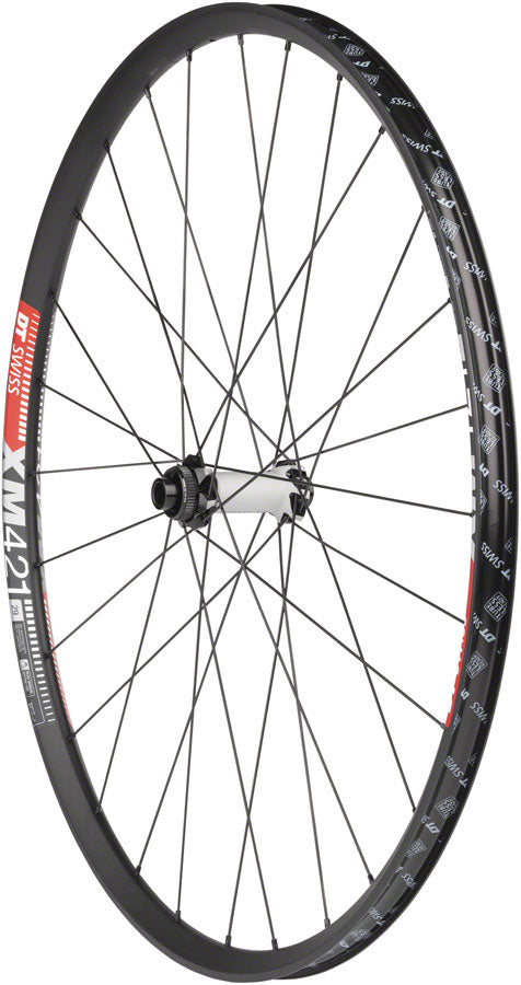 DT Swiss  350/XM421 Front Wheel - 29", 15 x 110mm, Center Lock, Black