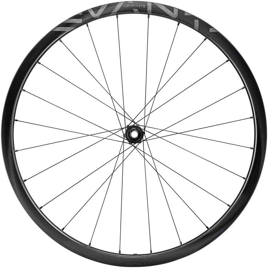 Campagnolo Levante Rear Wheel - 700, 12 x 142mm, CenterLock, N3W, Black