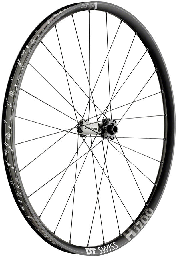 DT Swiss H 1700 Spline 30 Front Wheel: 29", 15 x 110mm Boost, 6-Bolt, Black, Ebike