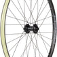 Stan's No Tubes Arch S2 Front Wheel - 29", 15 x 110mm, 6-Bolt, Black