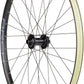 Stan's No Tubes Arch S2 Front Wheel - 29", 15 x 110mm, 6-Bolt, Black