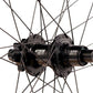 Stan's NoTubes Flow EX3 Rear Wheel - 29, 12 x 157mm, 6-Bolt, XDR, Black