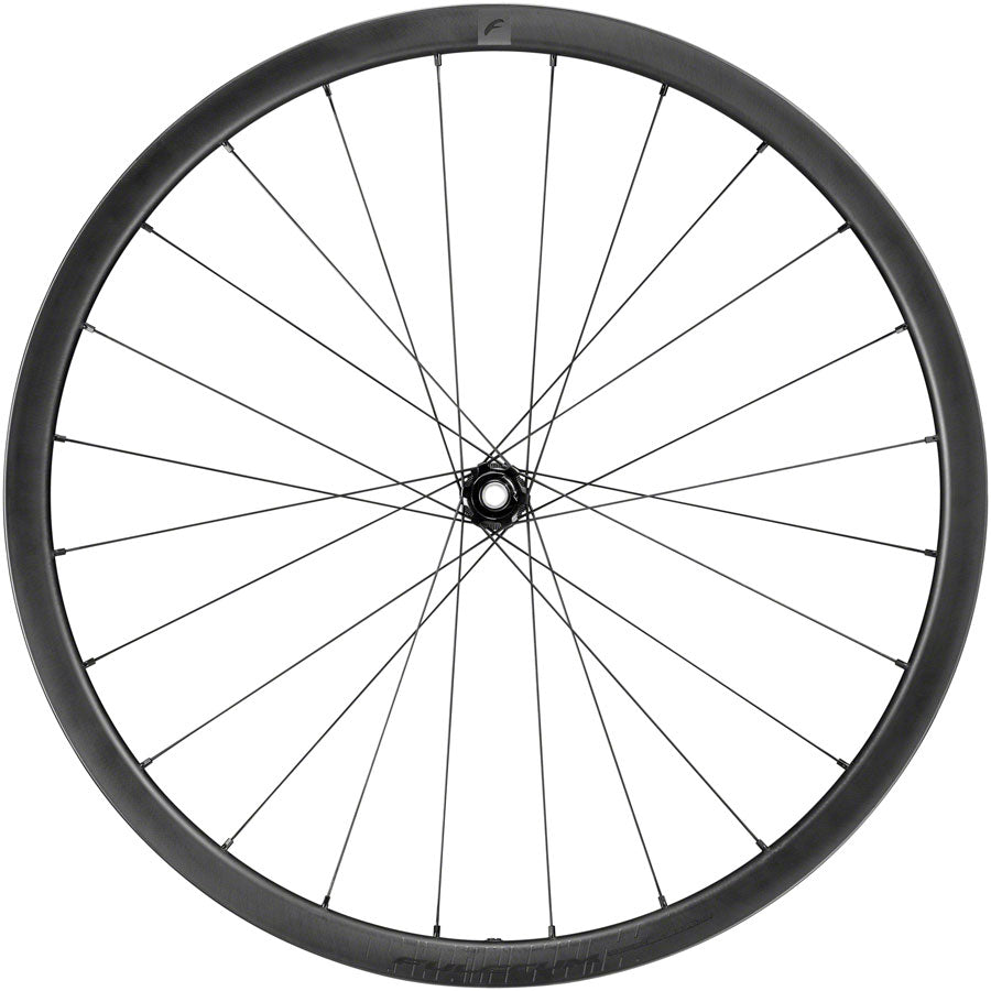 Fulcrum Rapid Red Carbon Front Wheel - 700c, 12 x 100mm, Center-Lock Disc, Black