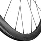 Fulcrum Rapid Red Carbon Rear Wheel - 700c, 12 x 142mm, Center-Lock Disc, Campagnolo N3W, Black