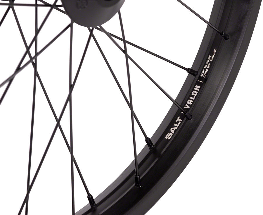 Salt EX Front Wheel - 20", 3/8" x 100mm, Rim Brake, Black, Clincher