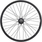 Salt Everest Rear Wheel - 20", 14 x 110mm, Rim Brake, Cassette, Black, Clincher