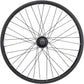 Salt Everest Rear Wheel - 20", 14 x 110mm, Rim Brake, Cassette, Black, Clincher