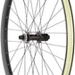 Quality Wheels MTB Ebike Alex EM30 Disc Rear Wheel - 29", 12 x 148mm Boost, Center-Lock, HG 11, Black