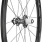 Fulcrum Speed 40 DB Wheelset - 700, 12 x 100/142mm, Center-Lock, HG 11 ,Black, 2-Way Fit