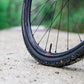 Fulcrum Rapid Red 5 DB Wheelset - 700, 12/15x100/142mm, Center-Lock, XDR, Black, 2-Way Fit